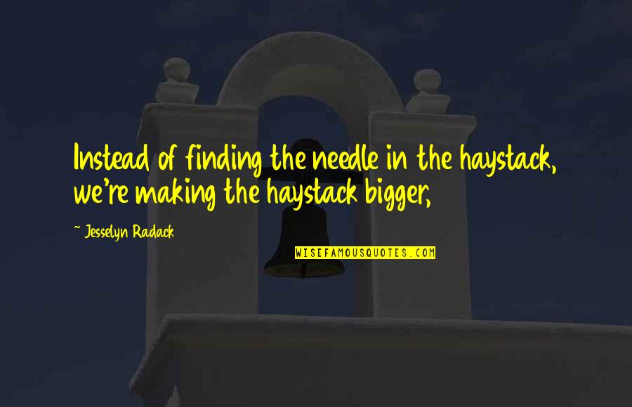 Irv Kupcinet Quotes By Jesselyn Radack: Instead of finding the needle in the haystack,