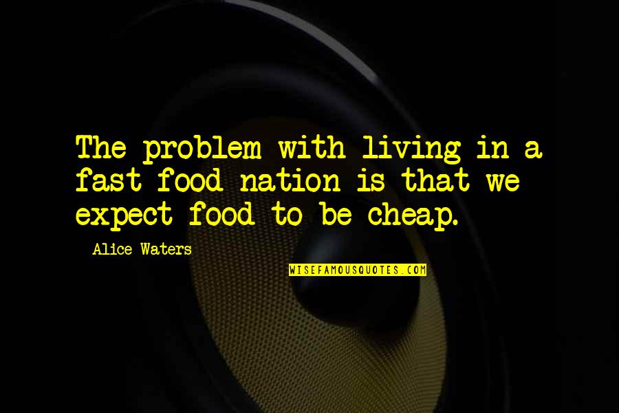 Irven Palencia Quotes By Alice Waters: The problem with living in a fast-food nation