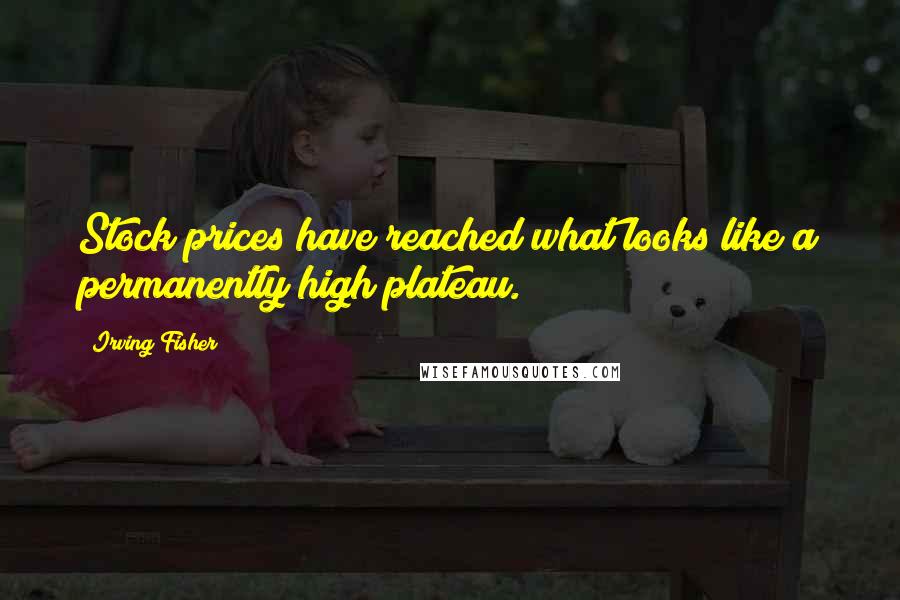 Irving Fisher quotes: Stock prices have reached what looks like a permanently high plateau.