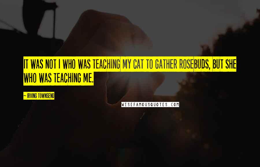 Irving Townsend quotes: It was not I who was teaching my cat to gather rosebuds, but she who was teaching me.