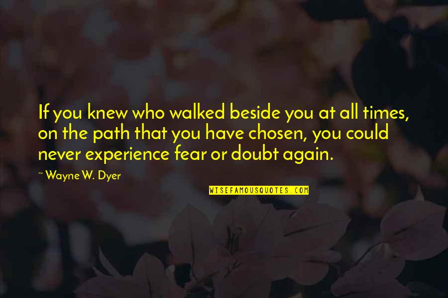 Irwin Jacobs Quotes By Wayne W. Dyer: If you knew who walked beside you at