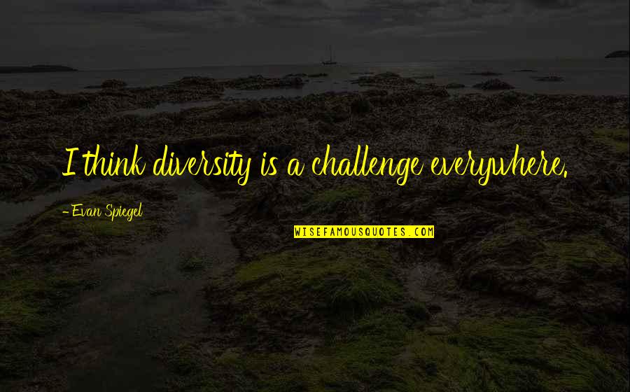 Is A Challenge Quotes By Evan Spiegel: I think diversity is a challenge everywhere. Is A Challenge Quotes By Evan Spiegel: I think diversity is a challenge everywhere.