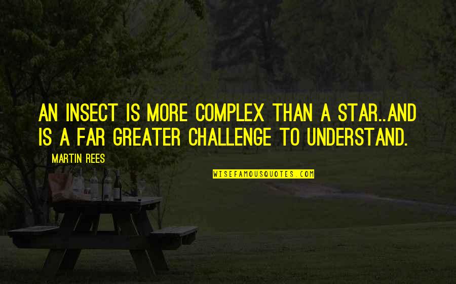 Is A Challenge Quotes By Martin Rees: An insect is more complex than a star..and