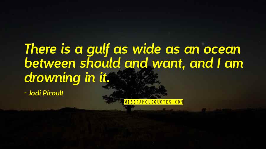 Is A Ocean Quotes By Jodi Picoult: There is a gulf as wide as an