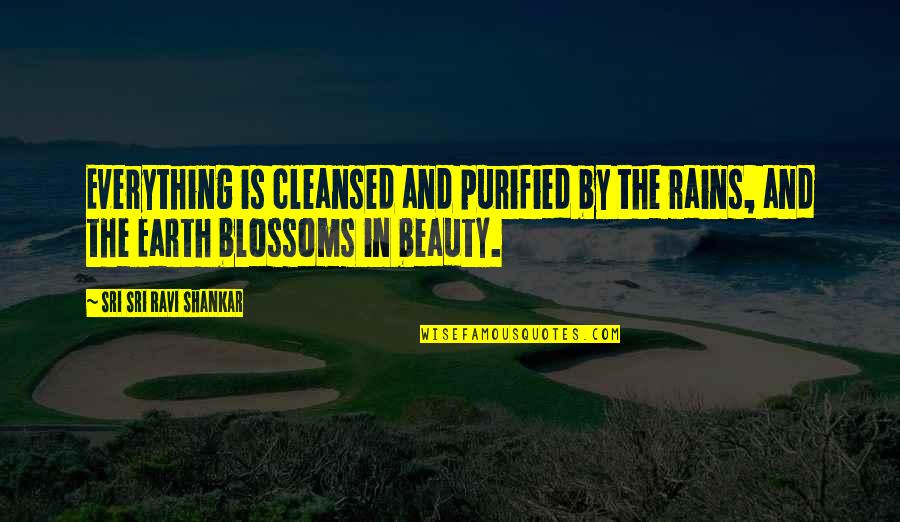 Is Beauty Everything Quotes By Sri Sri Ravi Shankar: Everything is cleansed and purified by the rains,