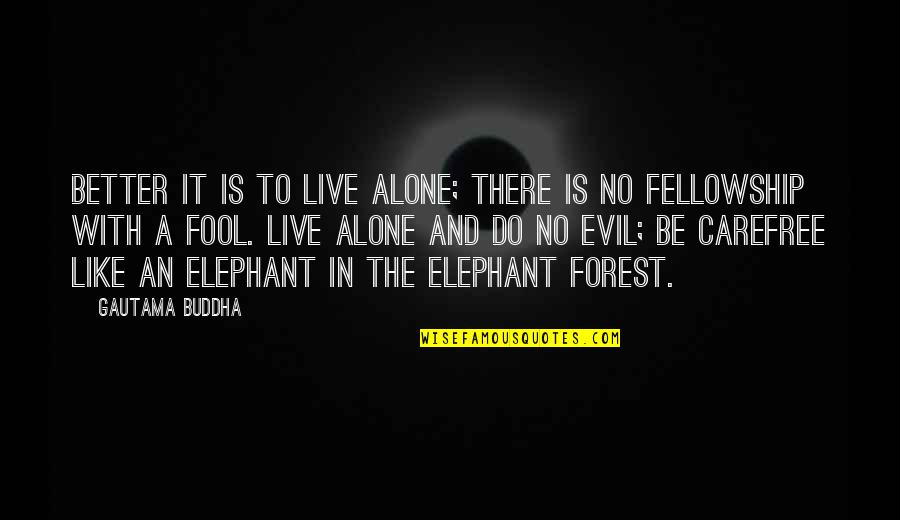 Is Better To Be Alone Quotes By Gautama Buddha: Better it is to live alone; there is