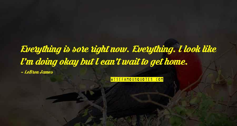 Is Everything Okay Quotes By LeBron James: Everything is sore right now. Everything. I look