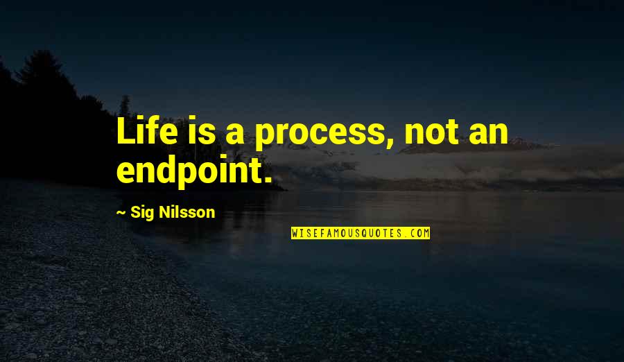 Is Fantasy Quotes By Sig Nilsson: Life is a process, not an endpoint.