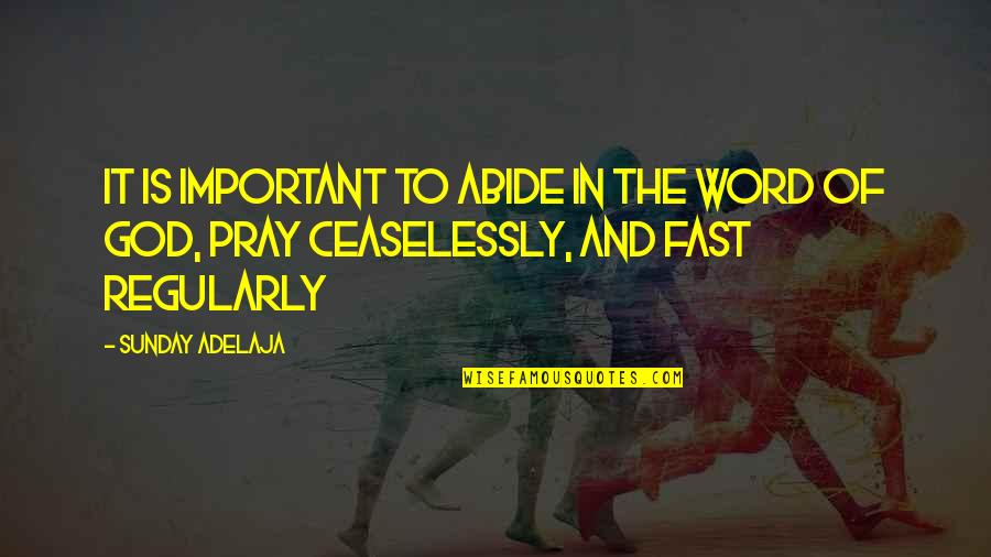 Is Goals In Life Quotes By Sunday Adelaja: It is important to abide in the word