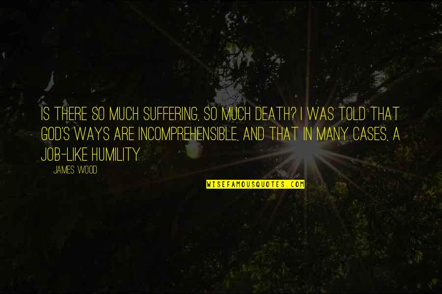 Is God There Quotes By James Wood: Is there so much suffering, so much death?