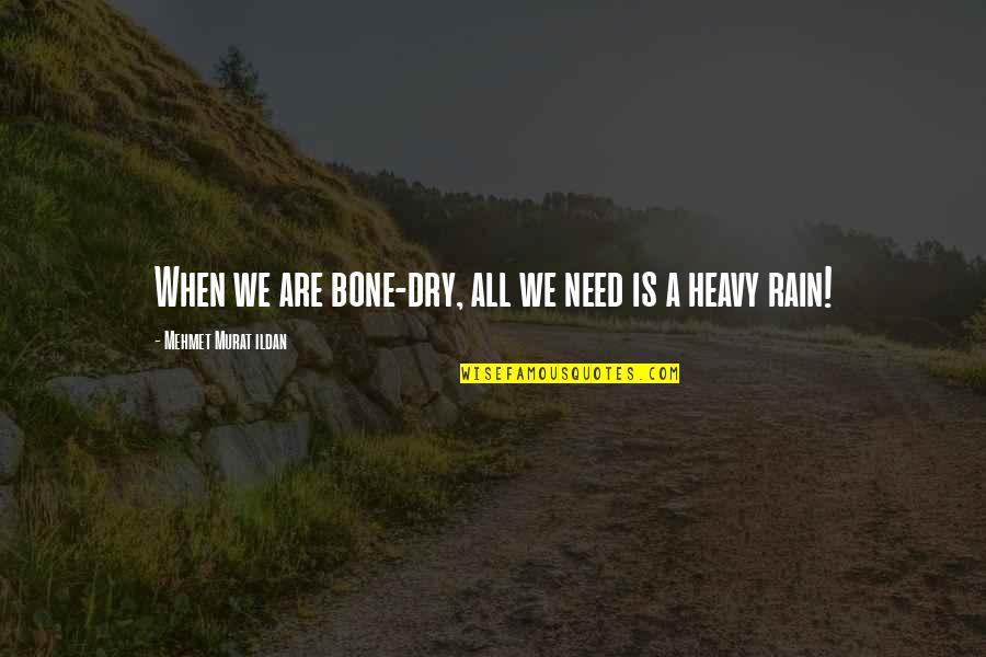 Is Heavy Quotes By Mehmet Murat Ildan: When we are bone-dry, all we need is