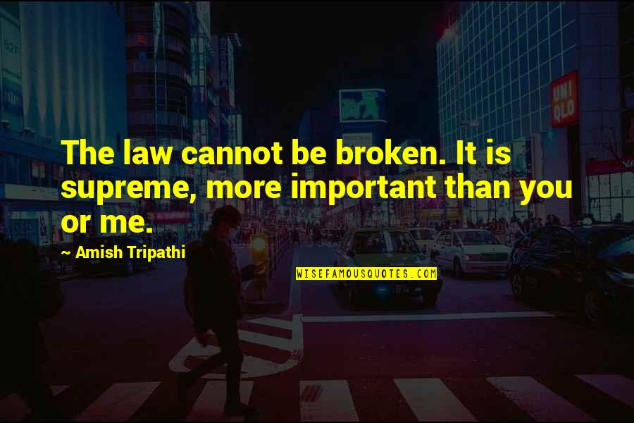 Is It Me Or You Quotes By Amish Tripathi: The law cannot be broken. It is supreme,