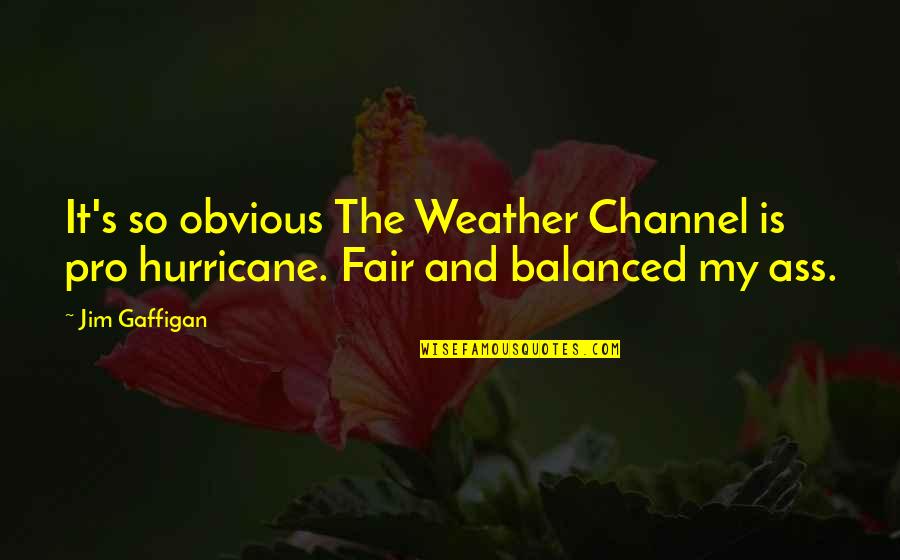 Is It So Quotes By Jim Gaffigan: It's so obvious The Weather Channel is pro