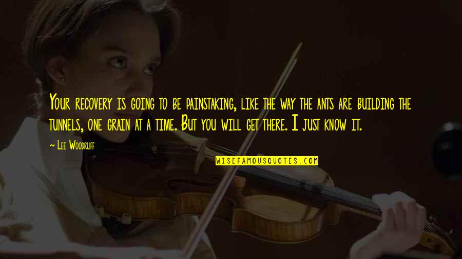 Is Lee Quotes By Lee Woodruff: Your recovery is going to be painstaking, like