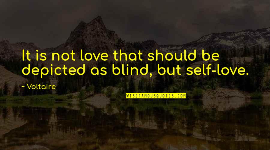 Is Love Blind Quotes By Voltaire: It is not love that should be depicted