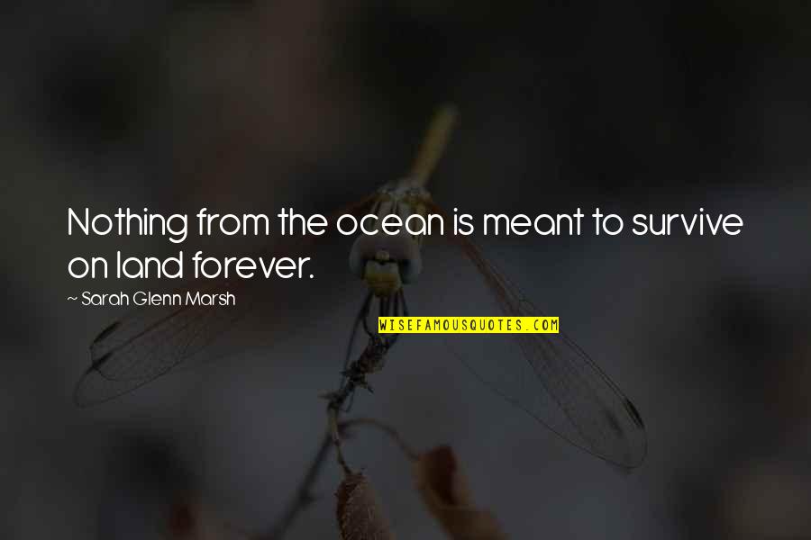 Is Love Forever Quotes By Sarah Glenn Marsh: Nothing from the ocean is meant to survive