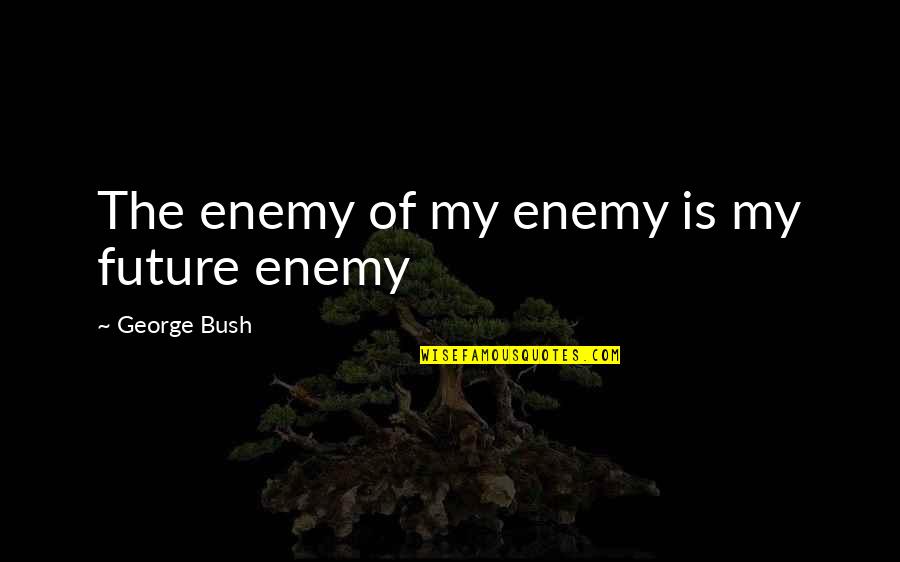 Is My Enemy Quotes By George Bush: The enemy of my enemy is my future