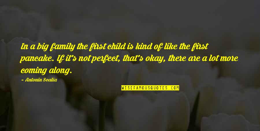 Is Not Perfect Quotes By Antonin Scalia: In a big family the first child is