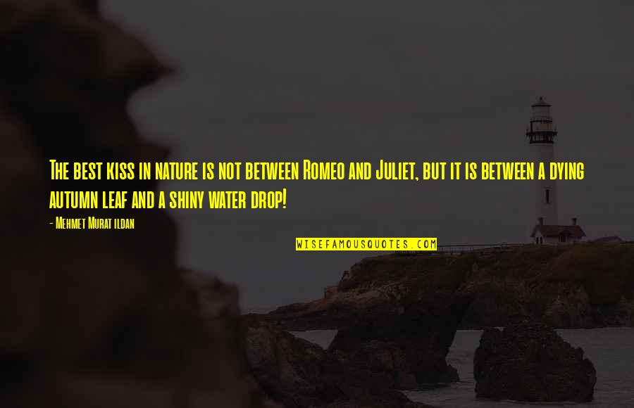 Is Romeo And Juliet Quotes By Mehmet Murat Ildan: The best kiss in nature is not between Is Romeo And Juliet Quotes By Mehmet Murat Ildan: The best kiss in nature is not between