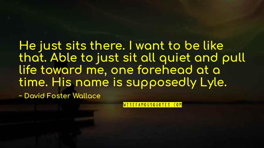 Is That All There Is To Life Quotes By David Foster Wallace: He just sits there. I want to be Is That All There Is To Life Quotes By David Foster Wallace: He just sits there. I want to be