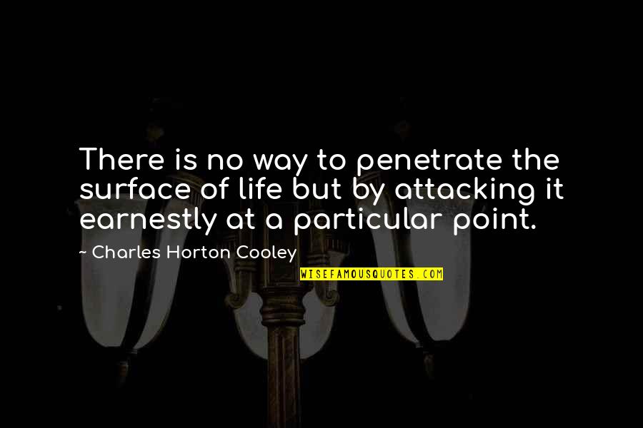 Is There A Point To Life Quotes By Charles Horton Cooley: There is no way to penetrate the surface
