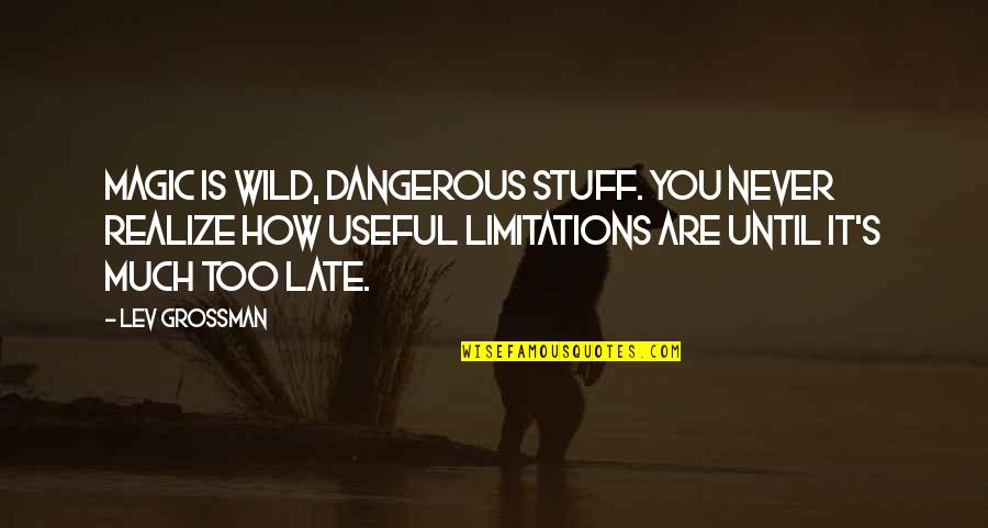 Is Too Late Quotes By Lev Grossman: Magic is wild, dangerous stuff. You never realize