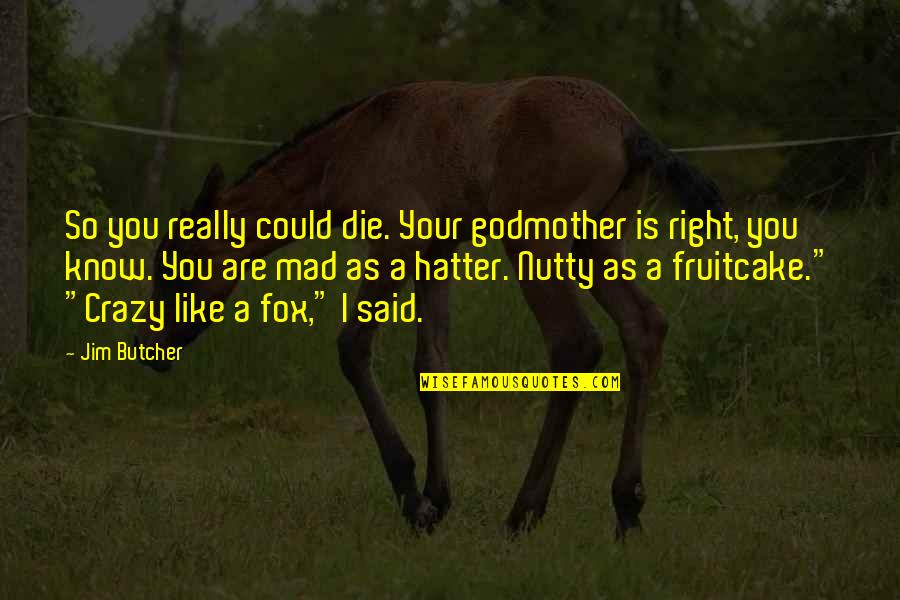 Is You Mad Quotes By Jim Butcher: So you really could die. Your godmother is