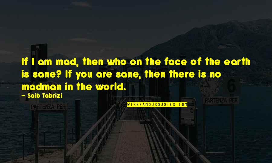 Is You Mad Quotes By Saib Tabrizi: If I am mad, then who on the