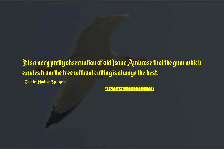 Isaac Ambrose Quotes By Charles Haddon Spurgeon: It is a very pretty observation of old Isaac Ambrose Quotes By Charles Haddon Spurgeon: It is a very pretty observation of old