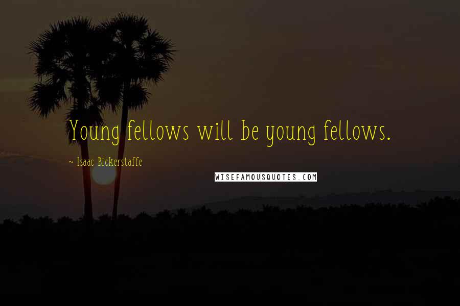 Isaac Bickerstaffe quotes: Young fellows will be young fellows.