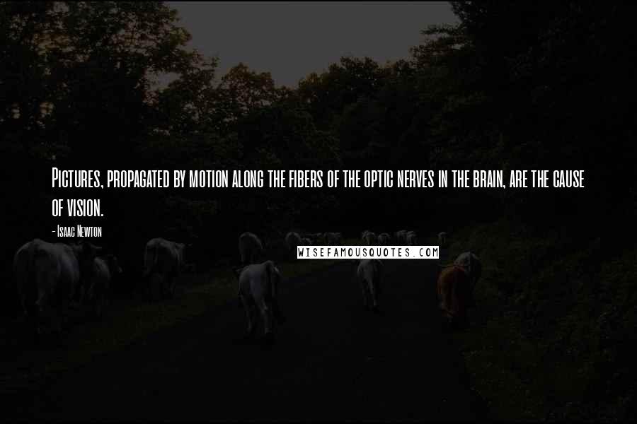 Isaac Newton quotes: Pictures, propagated by motion along the fibers of the optic nerves in the brain, are the cause of vision.