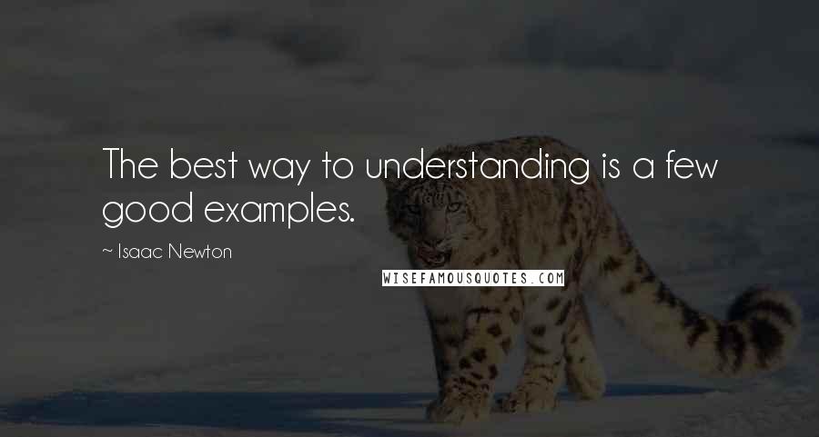 Isaac Newton quotes: The best way to understanding is a few good examples.