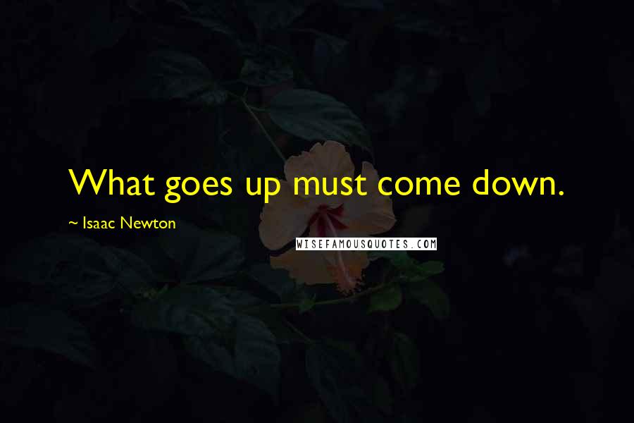 Isaac Newton quotes: What goes up must come down.