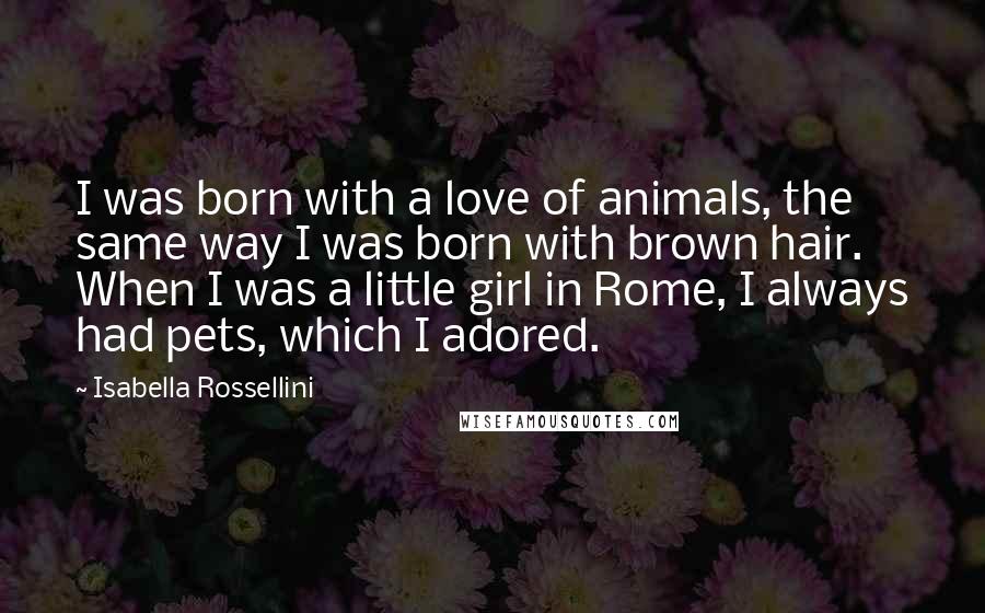 Isabella Rossellini quotes: I was born with a love of animals, the same way I was born with brown hair. When I was a little girl in Rome, I always had pets, which