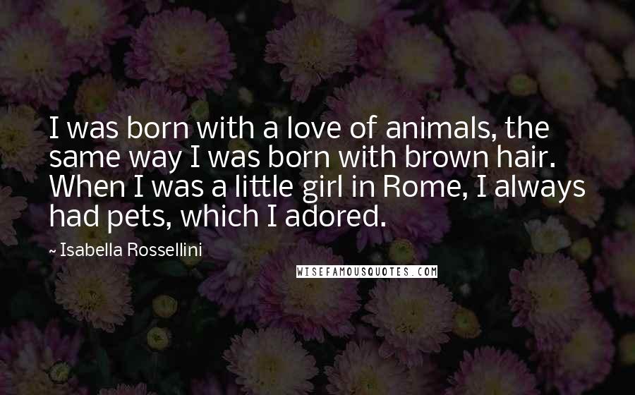 Isabella Rossellini quotes: I was born with a love of animals, the same way I was born with brown hair. When I was a little girl in Rome, I always had pets, which Isabella Rossellini quotes: I was born with a love of animals, the same way I was born with brown hair. When I was a little girl in Rome, I always had pets, which