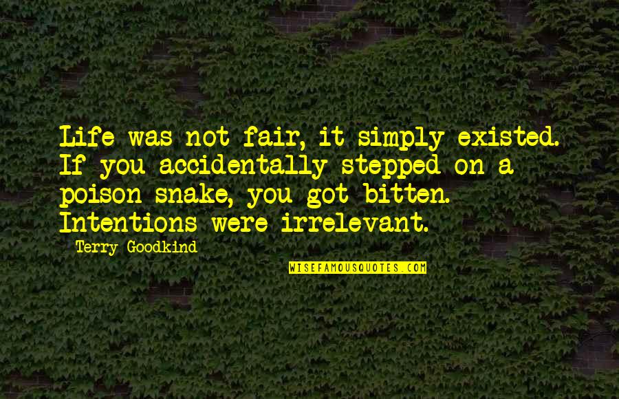 Isabelle Eberhardt Quotes By Terry Goodkind: Life was not fair, it simply existed. If