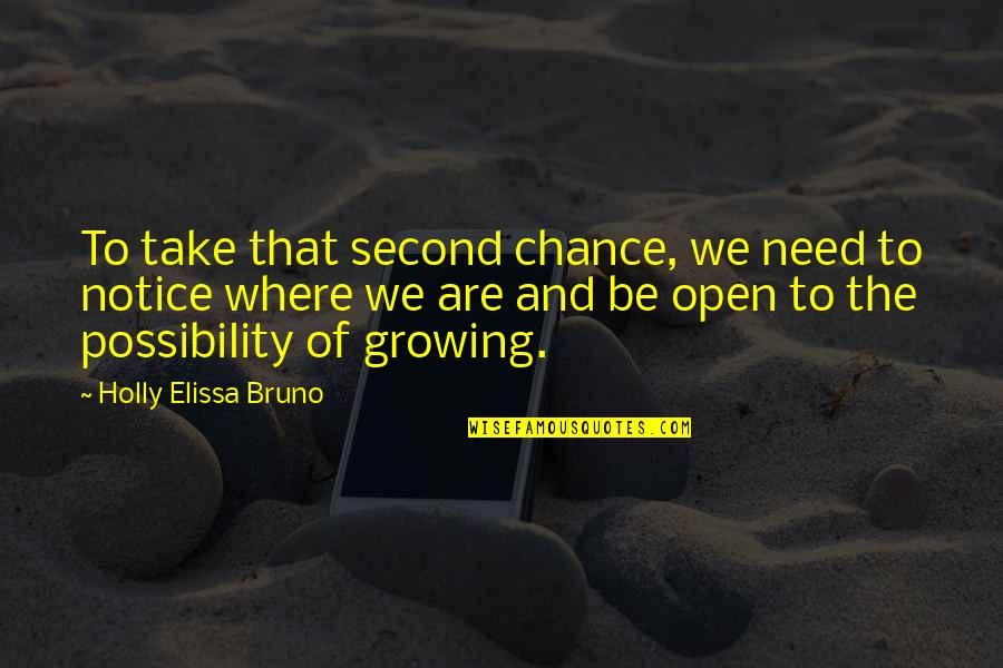Isadora Wing Quotes By Holly Elissa Bruno: To take that second chance, we need to
