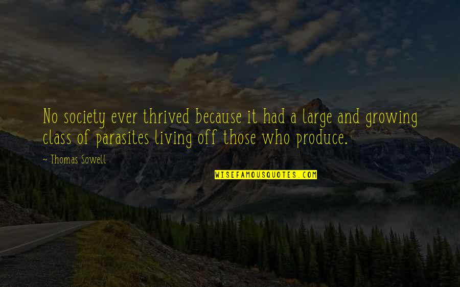 Isaiah Mustafa Old Spice Quotes By Thomas Sowell: No society ever thrived because it had a