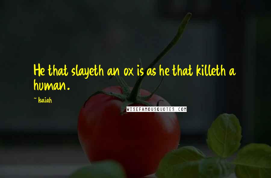 Isaiah quotes: He that slayeth an ox is as he that killeth a human.