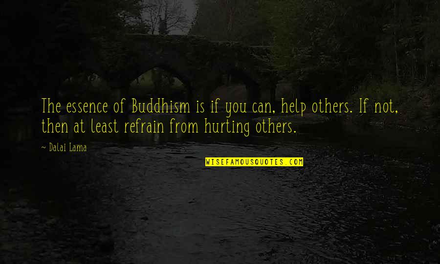 Isasi Diaz Quotes By Dalai Lama: The essence of Buddhism is if you can,