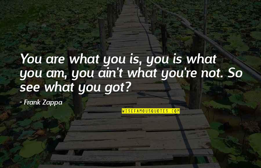 Ishigaki Glutathione Quotes By Frank Zappa: You are what you is, you is what