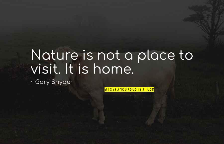 Ishilly One Piece Quotes By Gary Snyder: Nature is not a place to visit. It