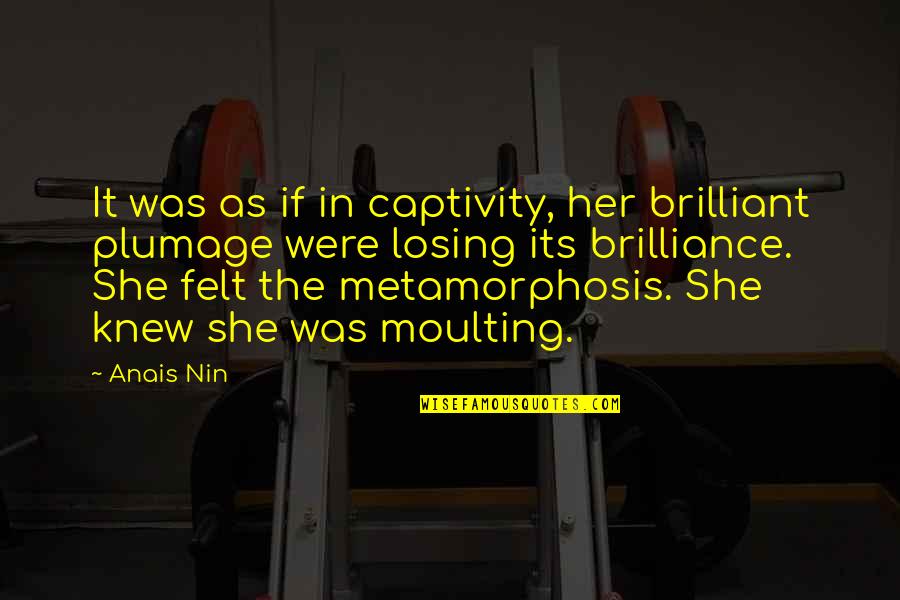 Ishimatsu Suzuki Quotes By Anais Nin: It was as if in captivity, her brilliant Ishimatsu Suzuki Quotes By Anais Nin: It was as if in captivity, her brilliant