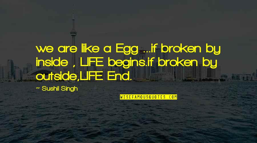 Ishin Yoshimoto Quotes By Sushil Singh: we are like a Egg ...if broken by Ishin Yoshimoto Quotes By Sushil Singh: we are like a Egg ...if broken by