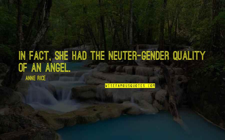 Ishmael And Queequeg Quotes By Anne Rice: In fact, she had the neuter-gender quality of