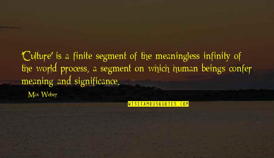 Ishwar Chandra Quotes By Max Weber: 'Culture' is a finite segment of the meaningless