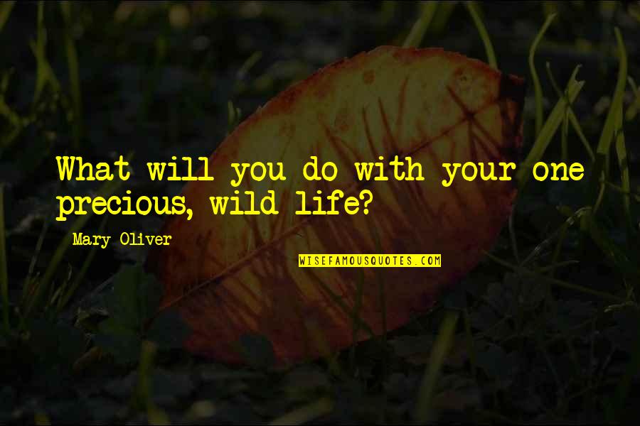 Isil Quotes By Mary Oliver: What will you do with your one precious, Isil Quotes By Mary Oliver: What will you do with your one precious,