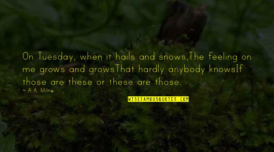 Iskrene Cestitke Quotes By A.A. Milne: On Tuesday, when it hails and snows,The feeling Iskrene Cestitke Quotes By A.A. Milne: On Tuesday, when it hails and snows,The feeling