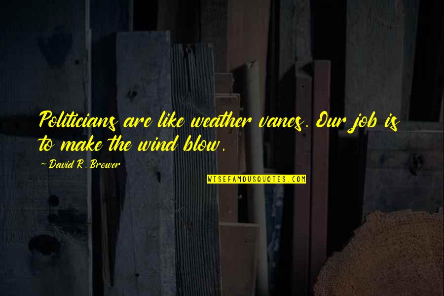Iskreno Saucesce Quotes By David R. Brower: Politicians are like weather vanes. Our job is Iskreno Saucesce Quotes By David R. Brower: Politicians are like weather vanes. Our job is