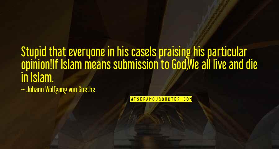 Islam For Everyone Quotes By Johann Wolfgang Von Goethe: Stupid that everyone in his caseIs praising his